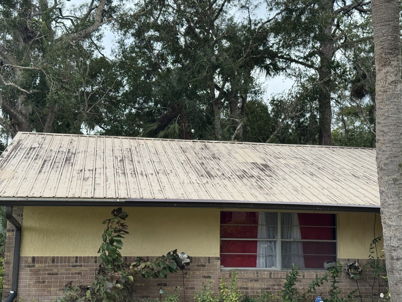 Before pressure washing photo for Project 14