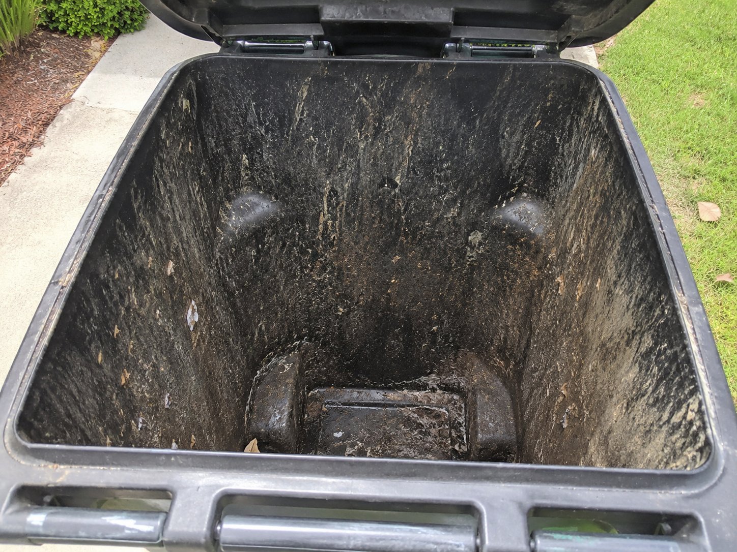 Dirty trash can interior before professional cleaning